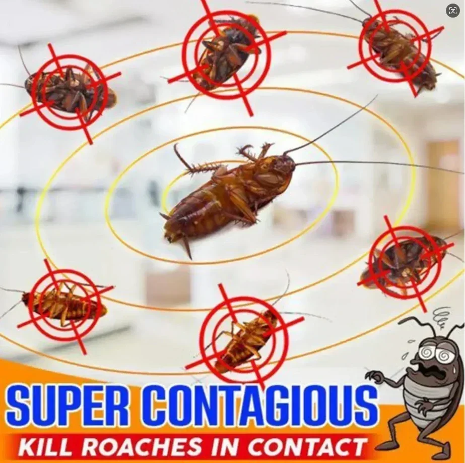 Cockroach Killing Bait Powder Effective Insect Roach Killer Pest Control Kitchen Anti-Roach 7