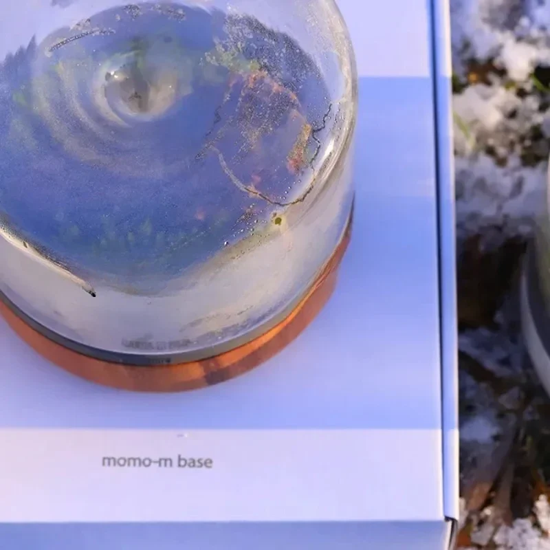 زجاجة Geonature Momo-M هندسية طبيعية متوسطة الطحلب ذات مناظر طبيعية صغيرة من الخشب الصلب