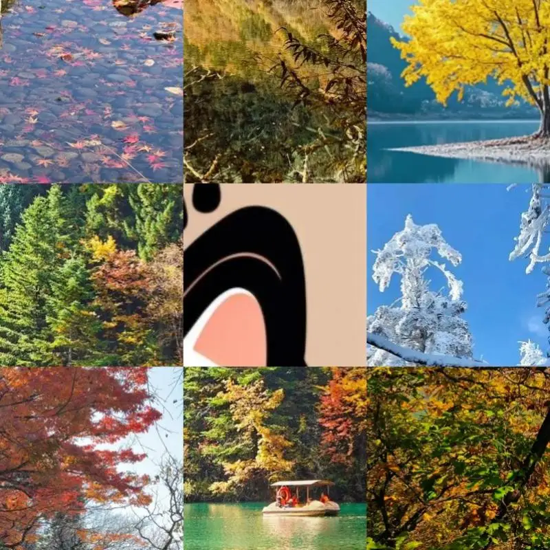 M.2 M Key Pcie To U…