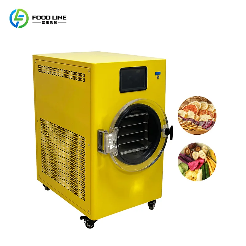 Customized Household Small Vacuum Freeze Dryer Home-Made Snack Dehydration Machine