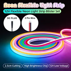 Wire/DC Plug 12V LED Neon Light Strip Dimmable Waterproof Flexible Silicone Lamp Wall Lamp for DIY Home Esports Room Decoration