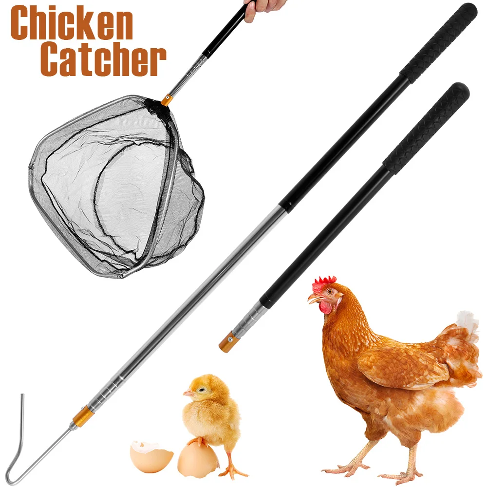 Reverse Huhn: Alles, was Sie über das Hühnerfangen mit dem Chicken Catcher Stick wissen müssen