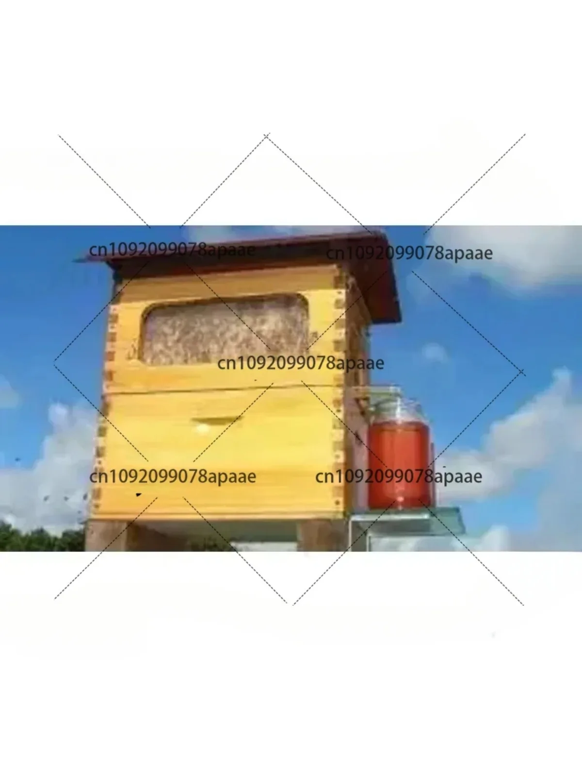 خلية النحل الأوتوماتيكية 7 إطارات 2 صندوق مجموعة كاملة من معدات تربية النحل لاستخلاص العسل #3