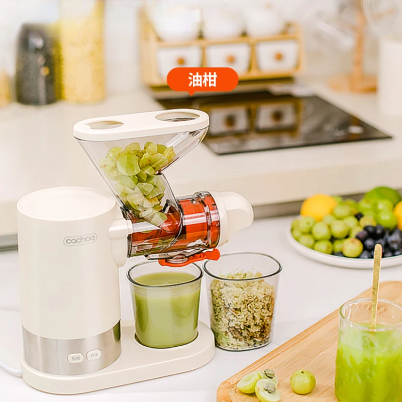 220V Slow Juicer Electric Slag-juice Separation Appliance for Fruit Vegetable خلاط كهربائي محمول  미니 믹서기  соковижималка електро