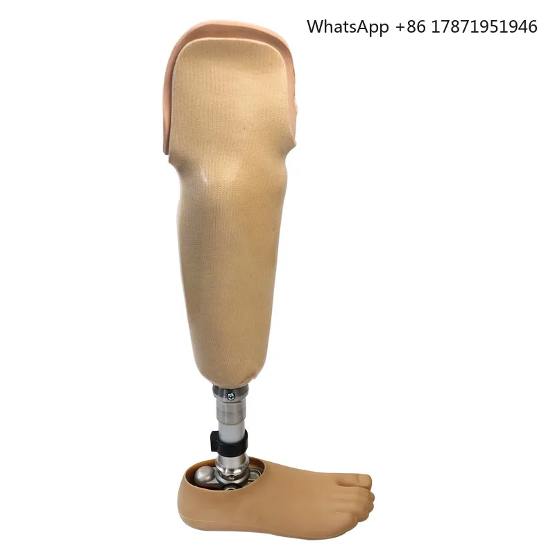 

Below knee Limb Prosthetic Components Artificial Implants Prosthetic Leg For amputees