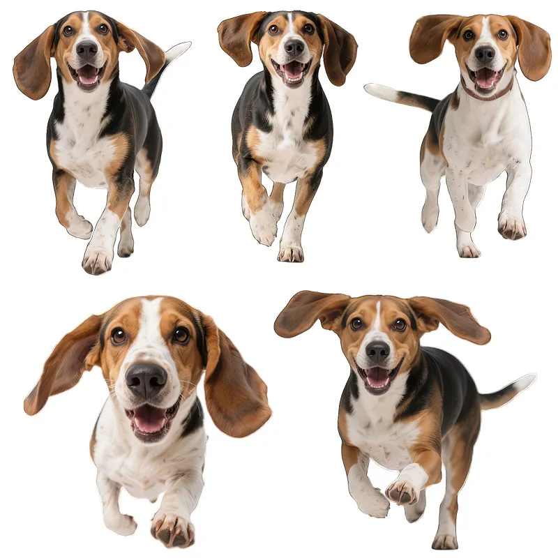 Three Ratels CC169 jack russell terrier Beagle Wall Stickers for Home Decoration IPAD decals car stickers