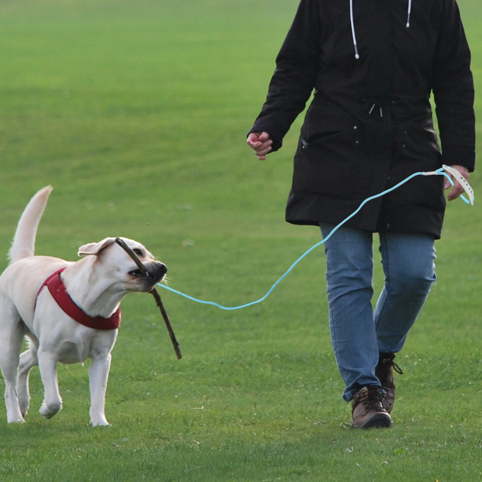 

Pet Traction Rope Small Dog Breathable Adjustable Chest Harness Walking Jogging Training Dog Leash Durable Rope