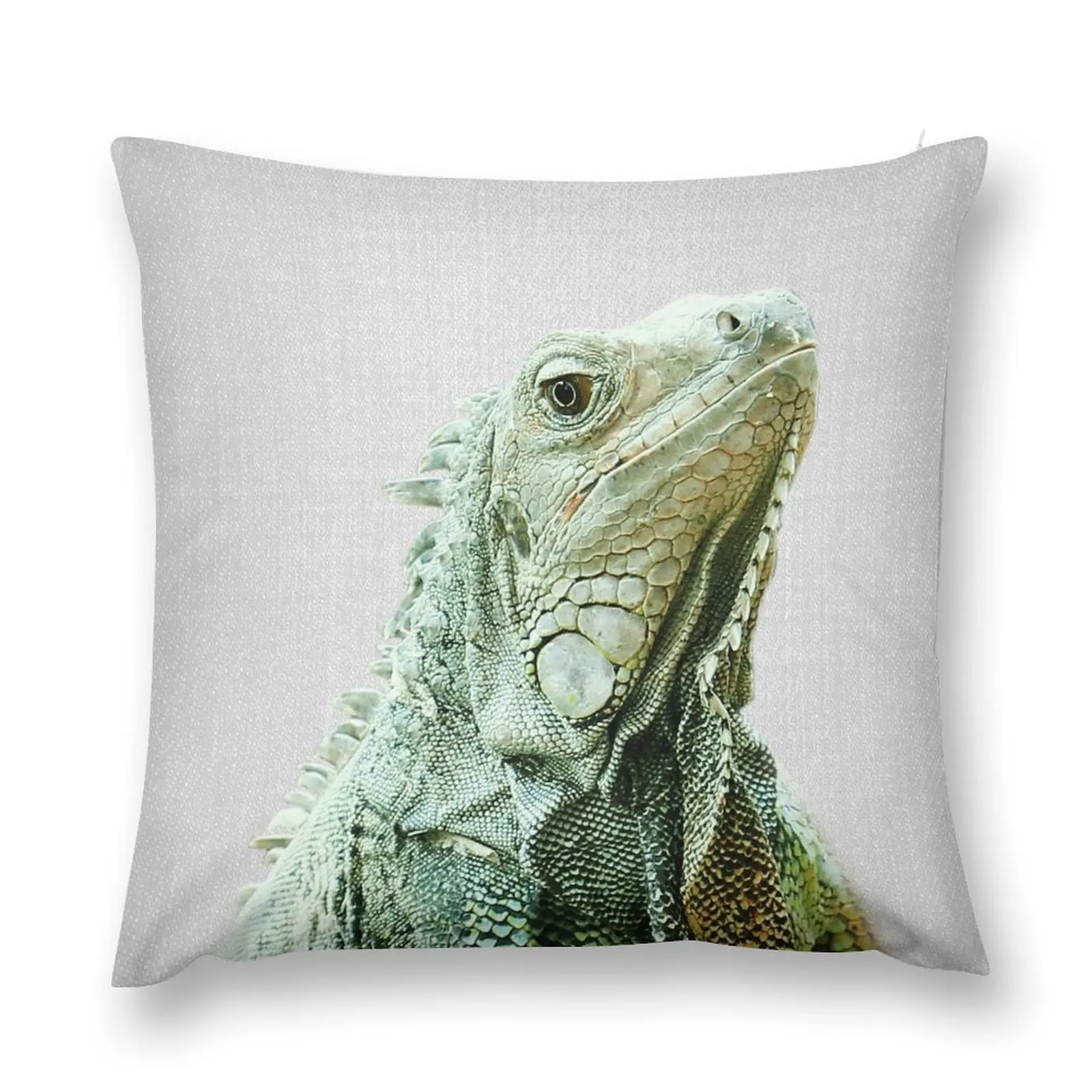 Iguana - Colorful Throw Pillow Sofas Covers ornamental pillows for living room New year pillow