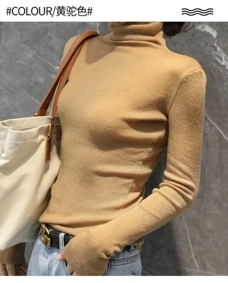Yellow camel