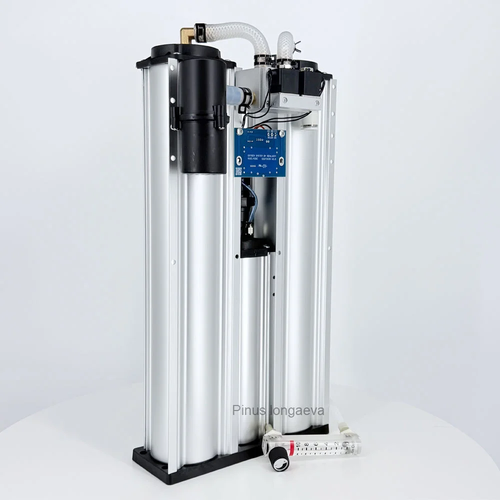 10 L Industrial Supply Module for Ozone Generator Low Silicon Molecular Sieve PCB Flow Meter Source