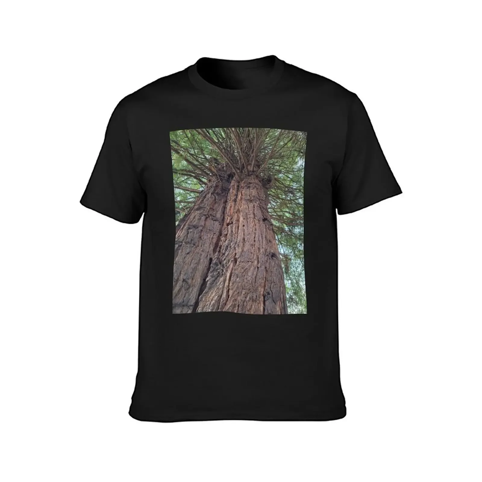 Great Trees at Fort Humboldt T-Shirt blacks funnys cute clothes blanks Men's t-shirts