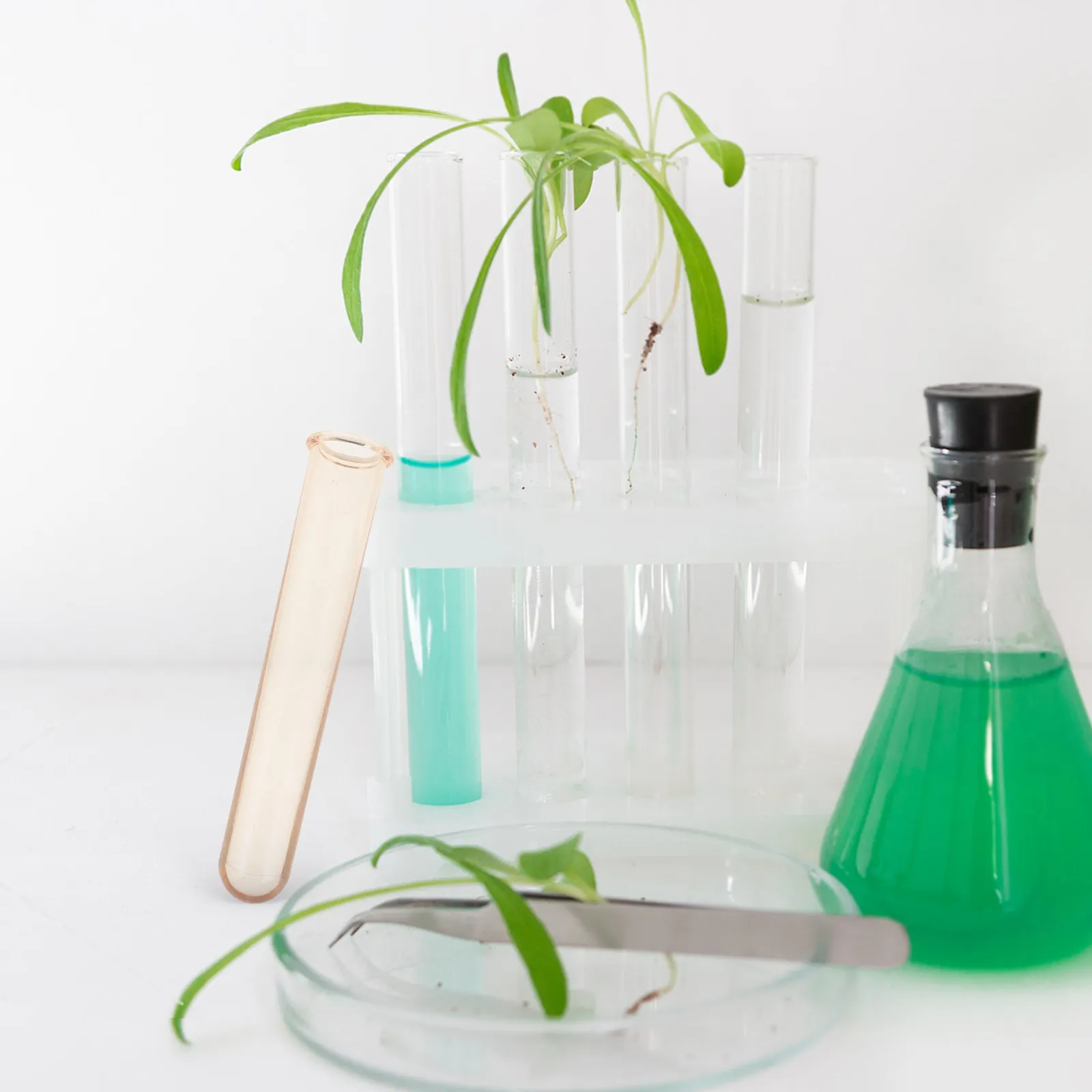6Pcs Hydroponic Flower Vases Transparent Plastic 12Cm Desktop Propagation Tubes Plant Propagation Holder Flower Test Tube Vase