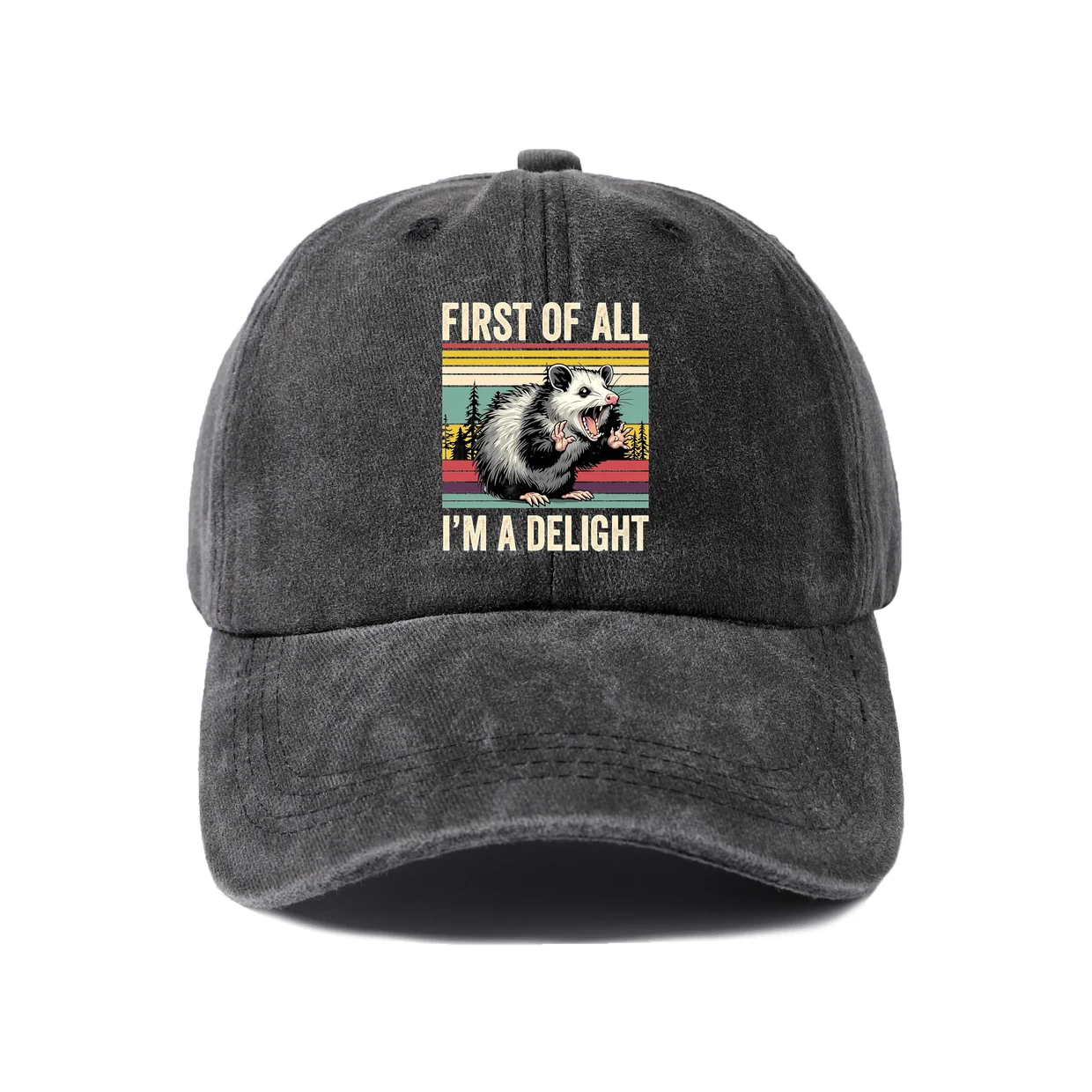 Confident Woman Humor Quote Graphic Baseball Cap, Vintage Washed Adjustable Unisex Dad Hat, Everyday Gift