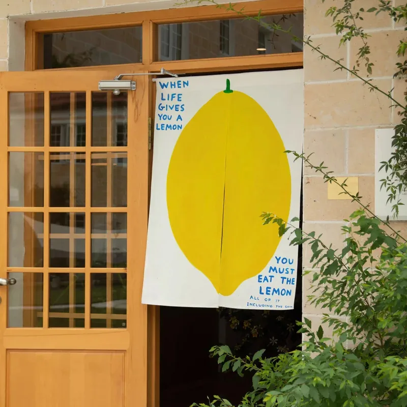 VIKAMA Minimalist Lemon Art Print Door Curtain, Modern Half Curtain, Fresh & Fun Home Decor For Kitchen & Cafe