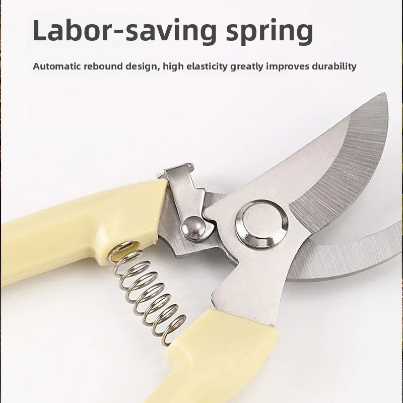 Witte snoeischaar voor tuinfruitbomen