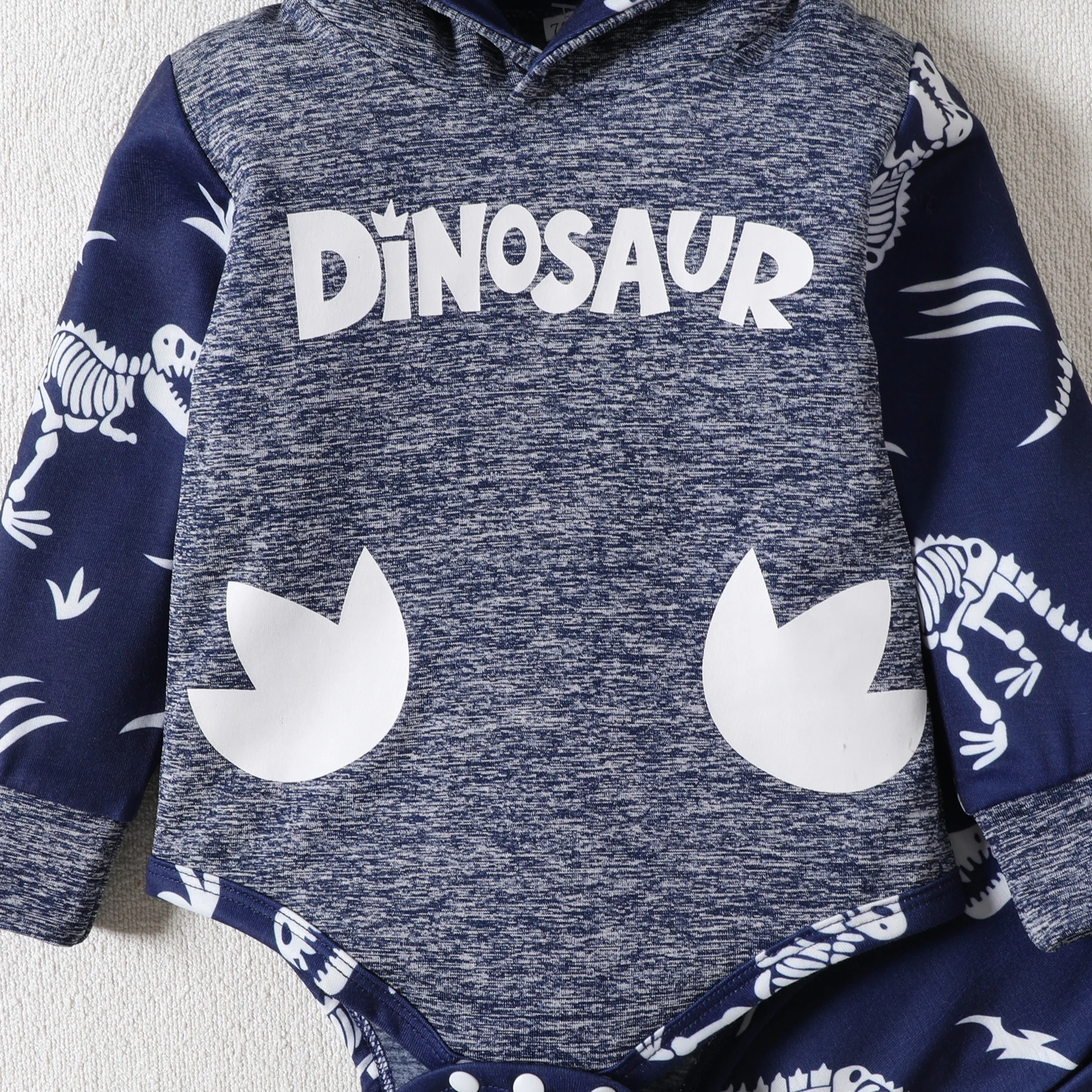 2Pcs Boys Fall Letter Print Hoodie Cute Cartoon Dinosaur Motifs Pants 0-24m Simple Dinosaur Theme Children Clothing