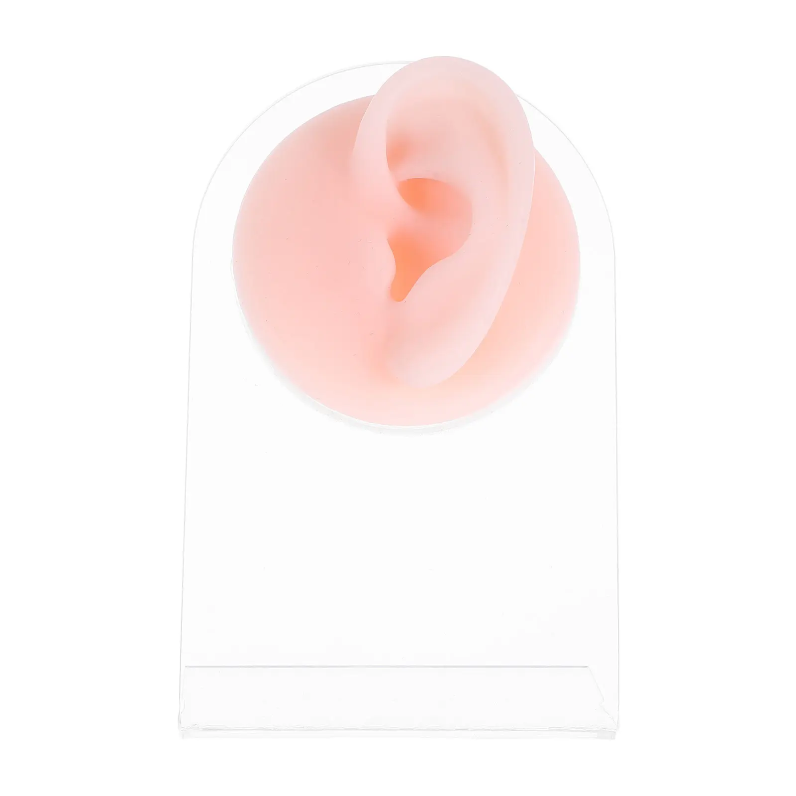 

Silicone Studs Earring Rack Realistic Ear Shape Display Acrylic Stand Jewelry Store Earring Display Organizer Holder
