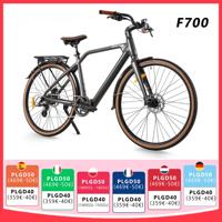 Electric Bike 250W 29\
