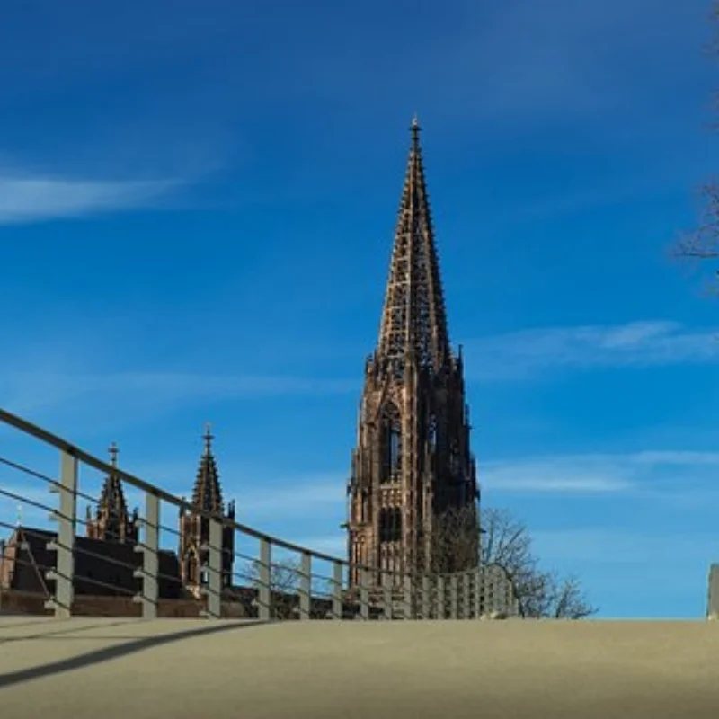 

4 шт. 42 мм пластиковое гоночное колесо 53341 для радиоуправляемого автомобиля TAMIAY M03 M04 M05 MB01 MF01 XM01 SW01 T301 1/14 MJX 14303 14304