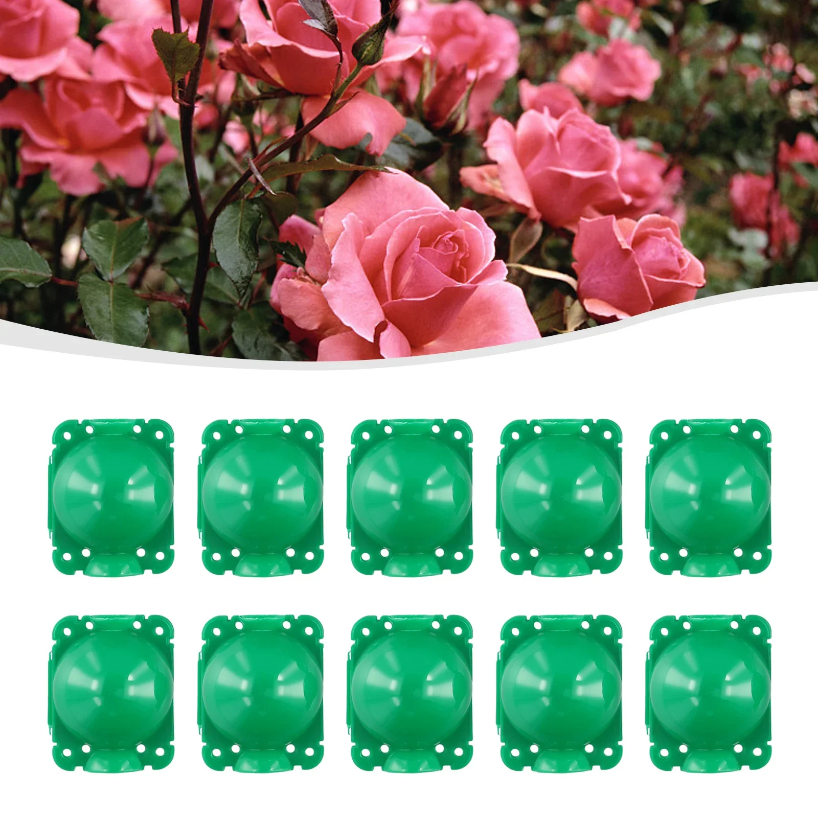 10xReusable Plant Root Growing Box Cutting Grafting Rooting Ball Garden Rooting Propagation Balls Rose/Fruit Trees Breeding Case