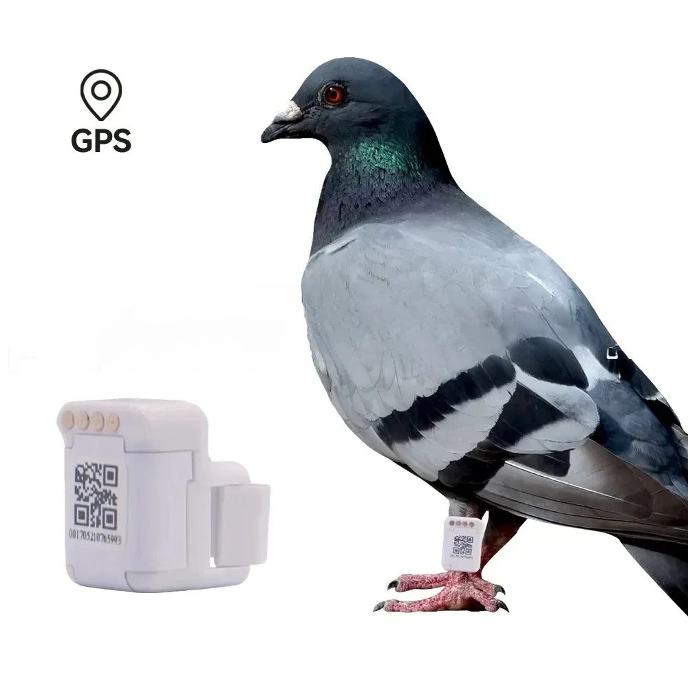 

1pcs Parrot Bird GPS Tracking Ring 110mAh White Racing Pigeon Inner 10.8mm Yorkshire Canary Position Tracker Devide