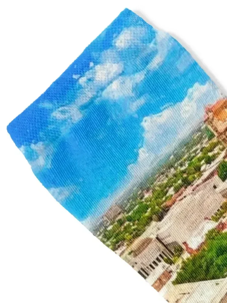 Aerial of downtown Laredo, Texas - digital painting Socks cool New year's Socks Women Men's