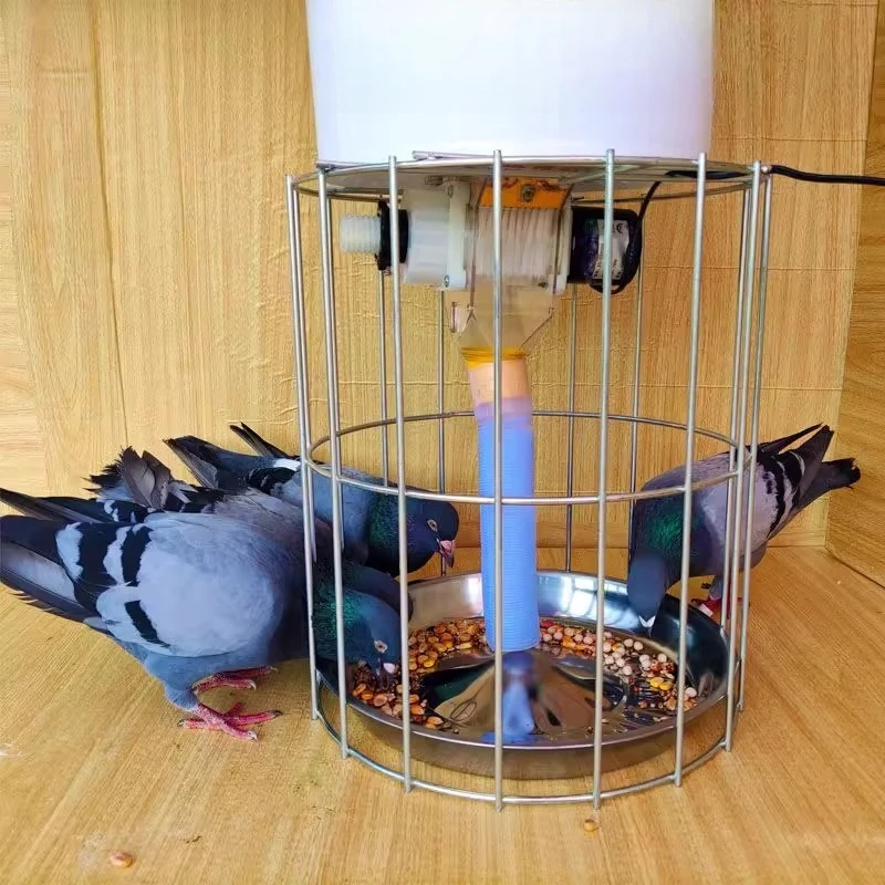 

Pigeon Supplies Appliances Automatic Feeder Groove Anti-Scattering Feeding Pigeon Artifact Food Box Carrier Pigeon Feeder