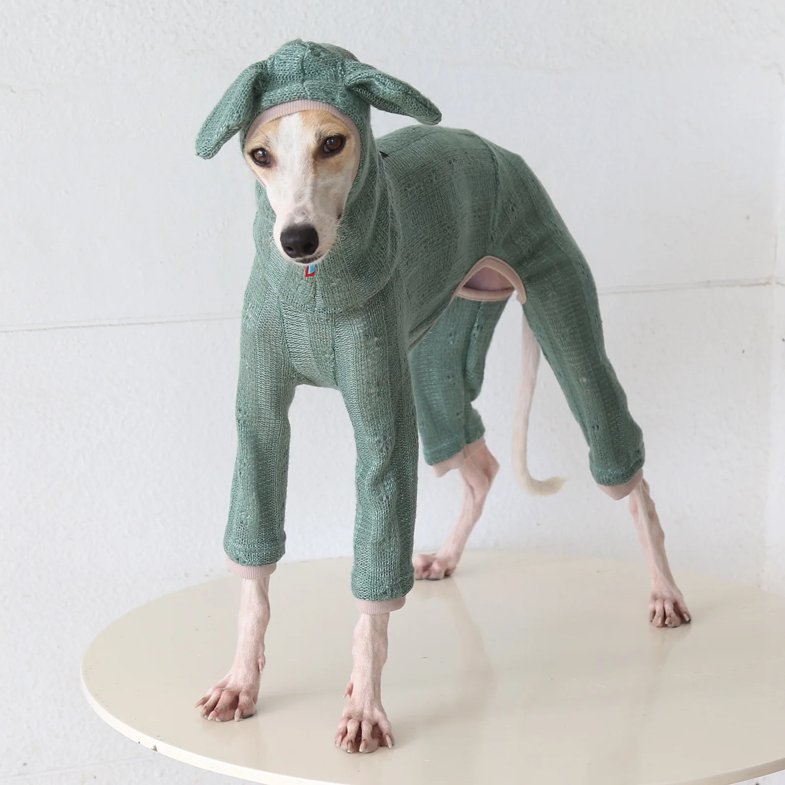 Lieflijke, warme trui met hoge hals en capuchon, met vier poten, voor kleine greyhounds, geschikt voor lente en herfst, en voor kleine tot middelgrote whippet-honden.