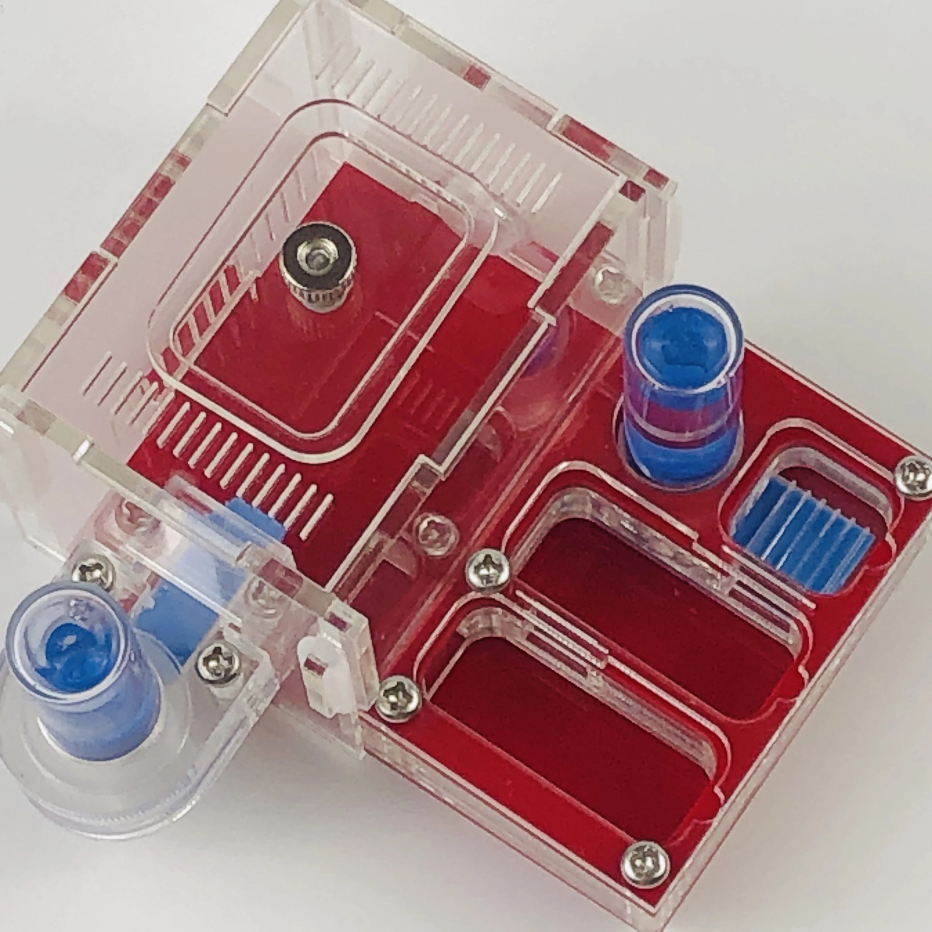 Acrylic And Moistur…