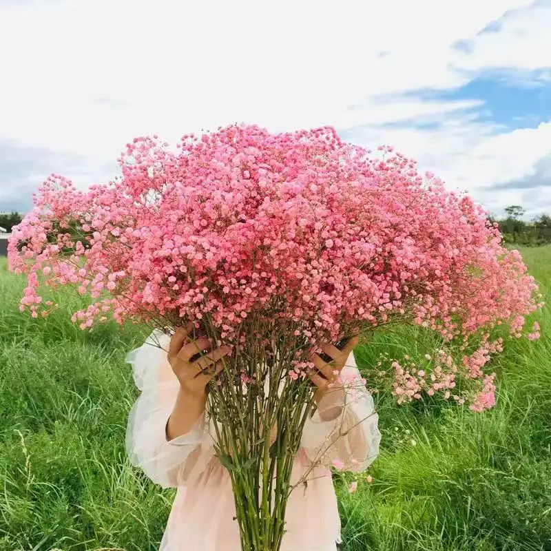 

Сухой цветок, домашний декор, цветущие садовые украшения для фестивалей, свадеб - вечная цветочная композиция в подарок