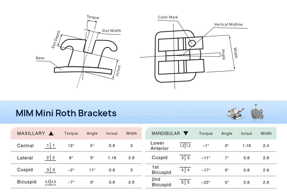 10 Packungen AZDENT Dental Klammern Kieferorthopädische Zahnspangen Metallgeflecht Basis Mini Roth/MBT Slot 0,022/0,018 Haken 3-4-5 Zahnmedizinwerkzeuge – Detail 5
