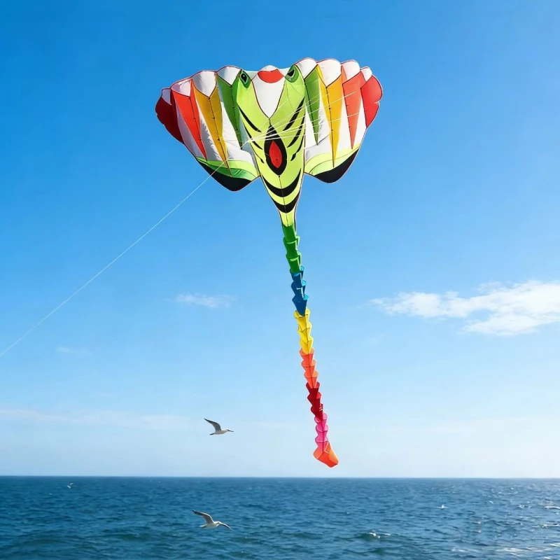 600cm-fish-kite-professional-soft-kites-outdoor-toys-inflatable-fabric-ray-kites-paragliding-kites-sports-kite-steering-ikitefly