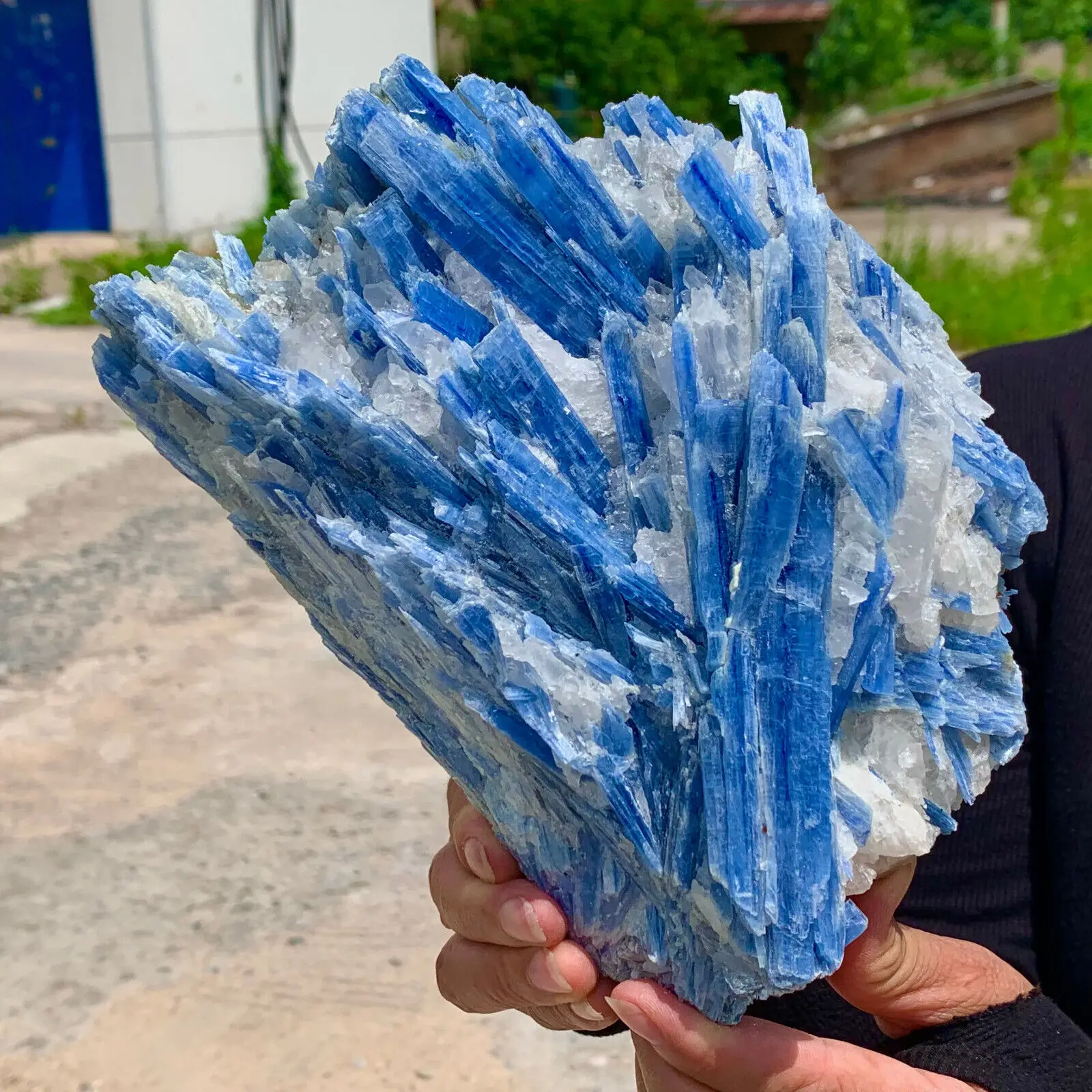 Natural beautiful Blue KYANITE with Quartz Crystal Specimen Rough