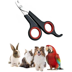 Pet Nail Claw Grooming Scissors Clippers for Dog Cat Gerbil Small Animals Newest Rabbit  Home Portable  Pet Products Accessories