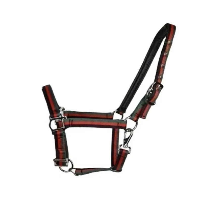 رسن الحصان مع خطوط عاكسة