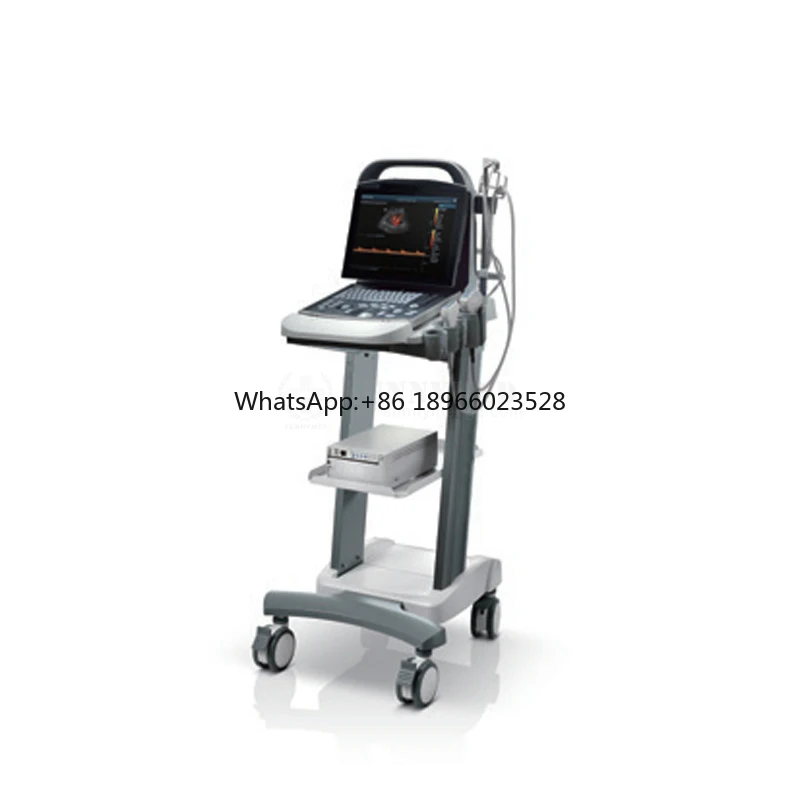 Portable Full digital ultrasound device Original Mindray DP-30 BW Mindray DP 30 ultrasound machine