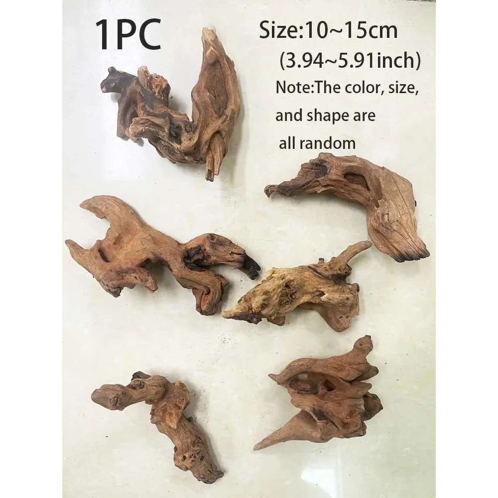 Thumbnail 4 - #7 Ranked Decorative Aquarium Plants Picks in 2026