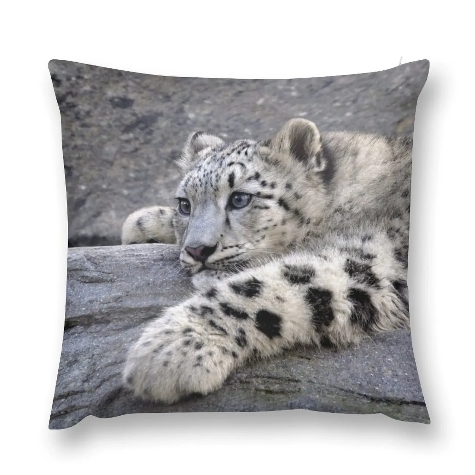 All Played Out Throw Pillow Cusions Cover Pillow Cover Cushion Cover For Sofa pillow