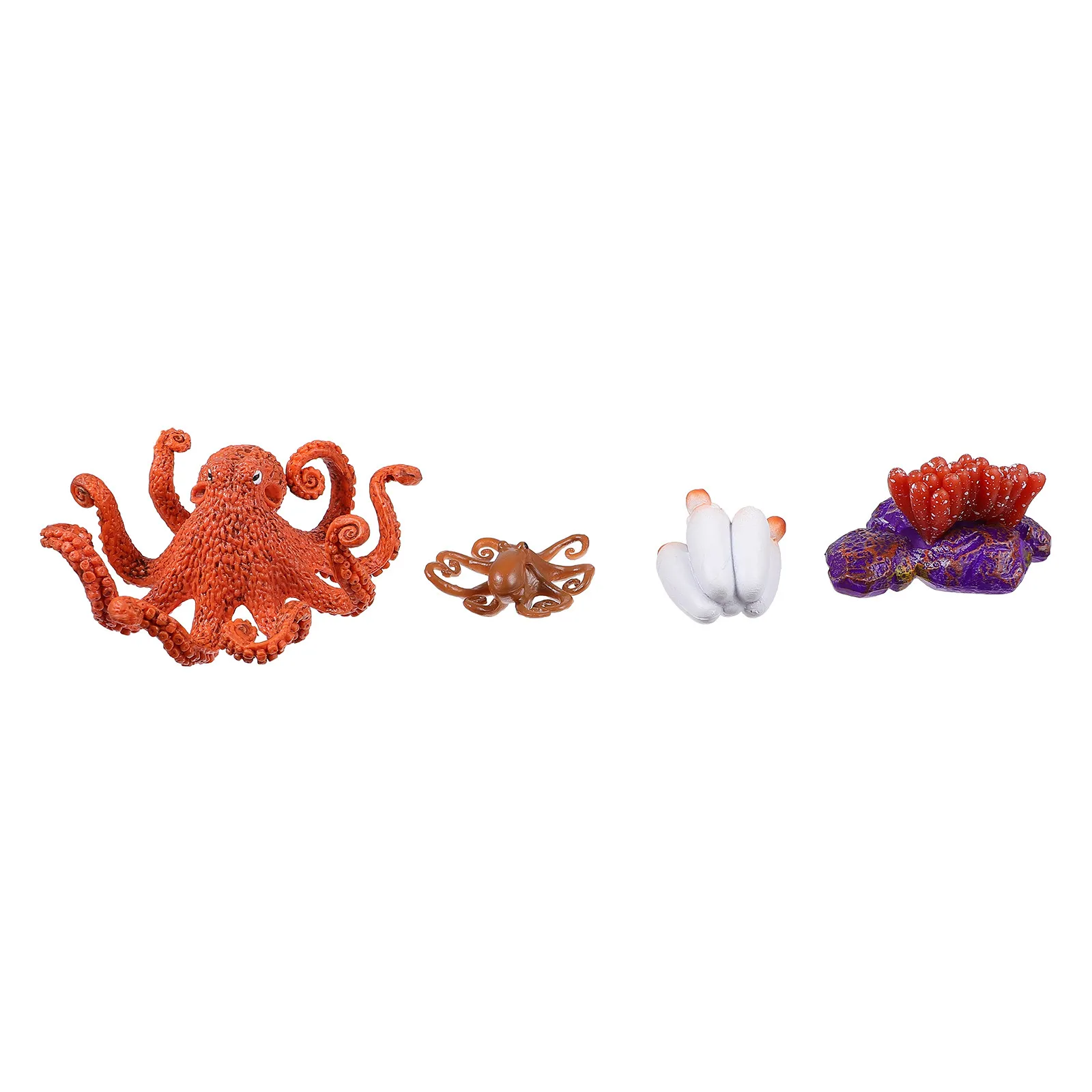 

1Set Detailed Octopus Growth Stages Educational Set for Kindergarten Science Exploration Home Desktop Decor Animal Evolution