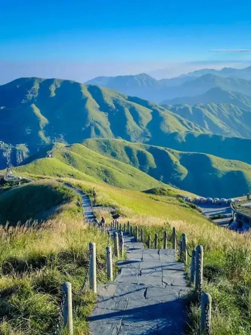 

2 шт. карбоновые накладки на подрулевые лепестки переключения передач из ABS для Geely Tugella 2019-2024, Boyue Pro 2016-2024