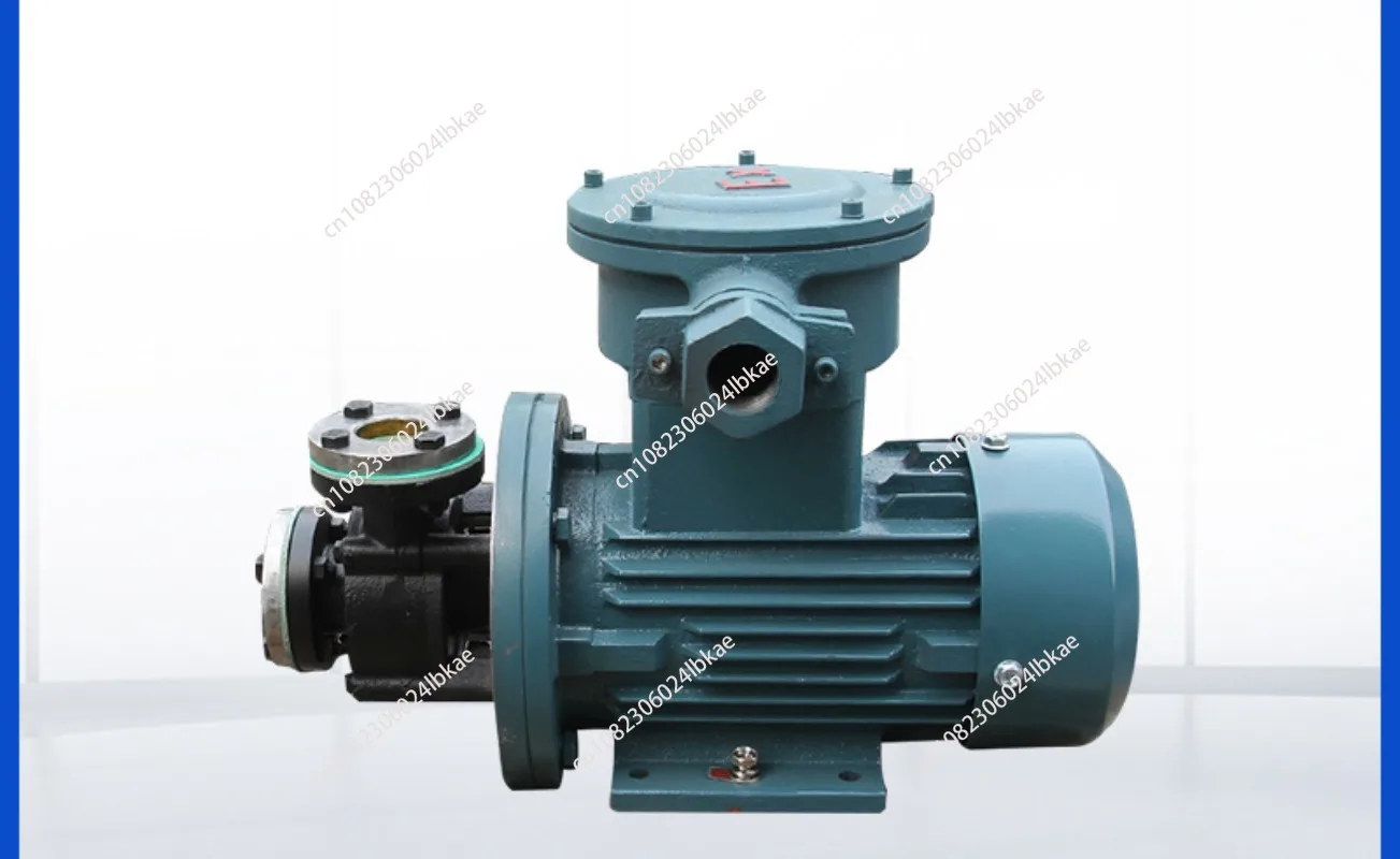 YS-20B-EX Explosion-Proof Hot Water Hot Oil Gear Peripheral Pump