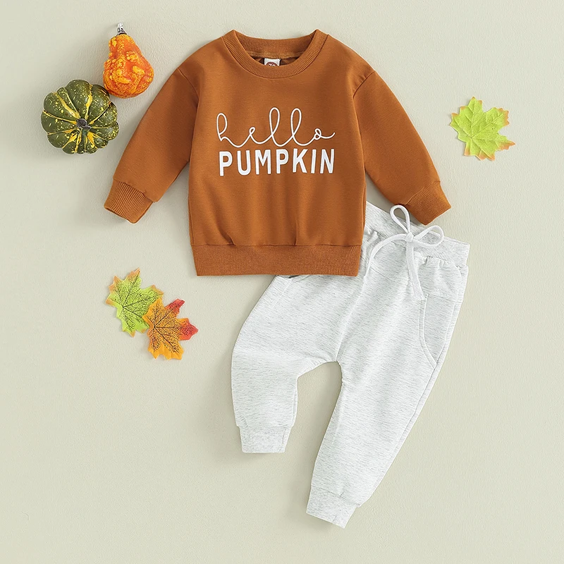 Baby Toddler Boys Fall Winter 2pcs Outfits Suit Little Dude Letter Printed Long Sleeve Sweatshirts Pants 2Pcs Clothes Set