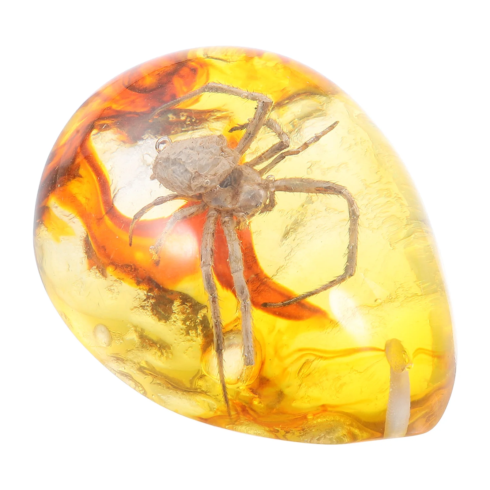 Amber Beeswax Specimen DIY Crafts Children's Party Favors Spider Pendants Resin