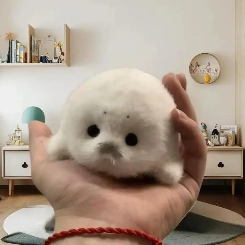 New Cute Baby Seal Doll Plush Toy Pendant Simulation Ocean Toy Souvenir Seal Pendant Gift Doll Bag Pendant - view 2