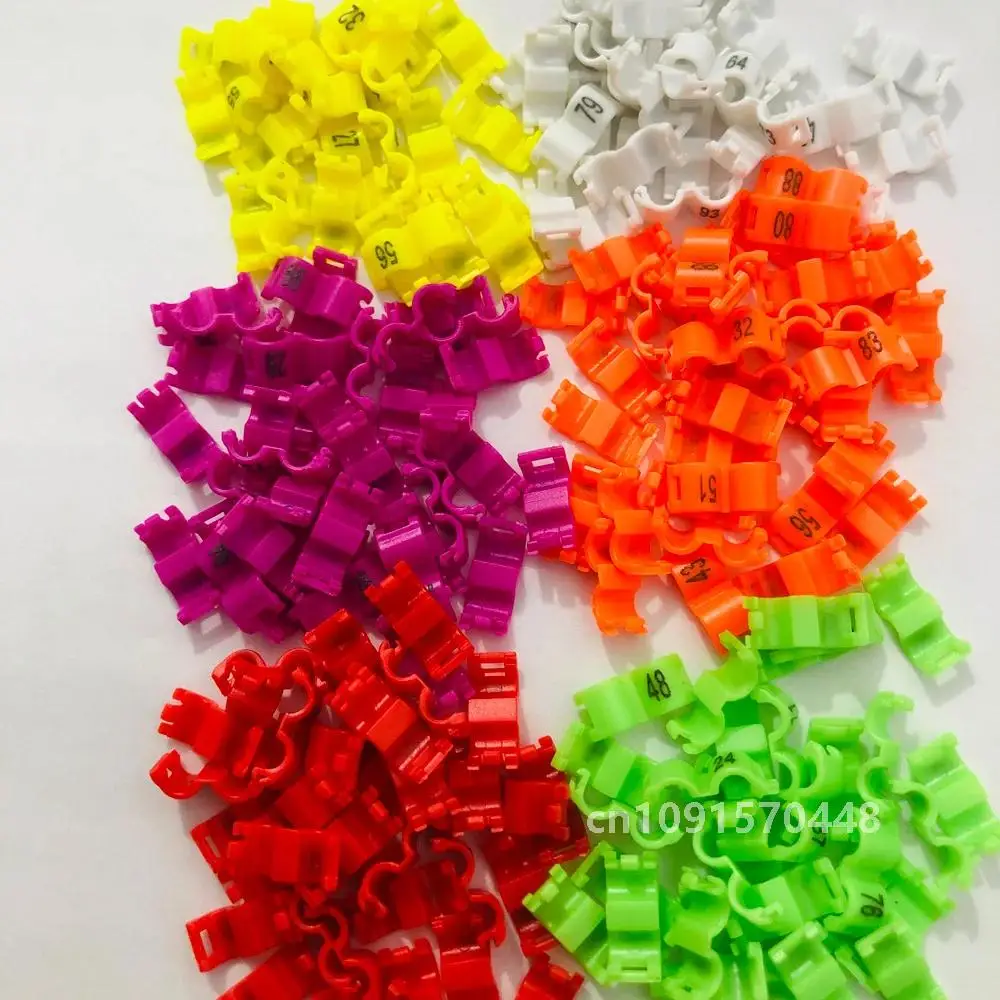 60 Pcs Inner 2.7/ 3/4/4.5/5mm Canary Clip Ring Bird Pigeon Parrot Leg Rings Small Birds Foot Rings Mix Color bird ring