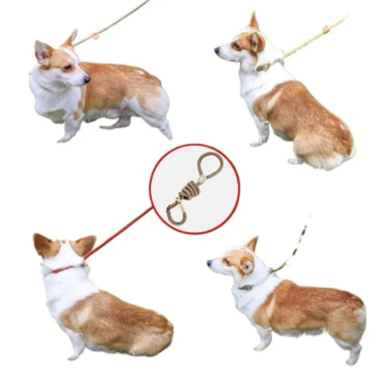 Neue Hundeleine, Slip-Leine, Robuste Geflochtene Seilleine mit Verstellbarem Schlaufenhalsband, Trainingsleine für Kleine und Mittelgroße Hunde – Detail 7