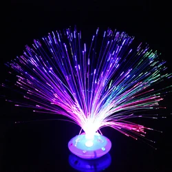 Colored LED Fiber Optic Light Night Lamp Holiday Christmas Wedding Decoration Shine In The Dark Nighting Lamps Fiber Optic Light