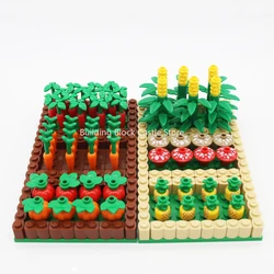 MOC Orchard Vegetable Plot Pumpkin Corn Pineapple Mushroom Radish Creative Scene Small Particle Building Block Toy Model.