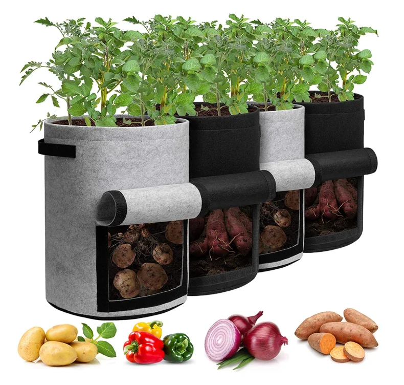 野菜苗トレイ 発芽苗床 植物排水可能スタータートレイ