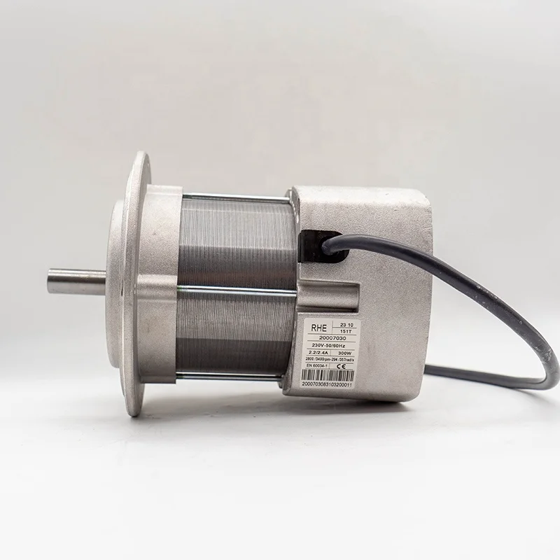 RS34 300W Motor Motor (3013490) Burner Special Supply from Chinese Factory